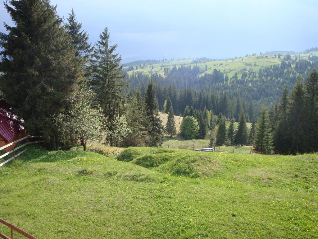 Hotel Panorama Karpat à Yablunytsya Extérieur photo